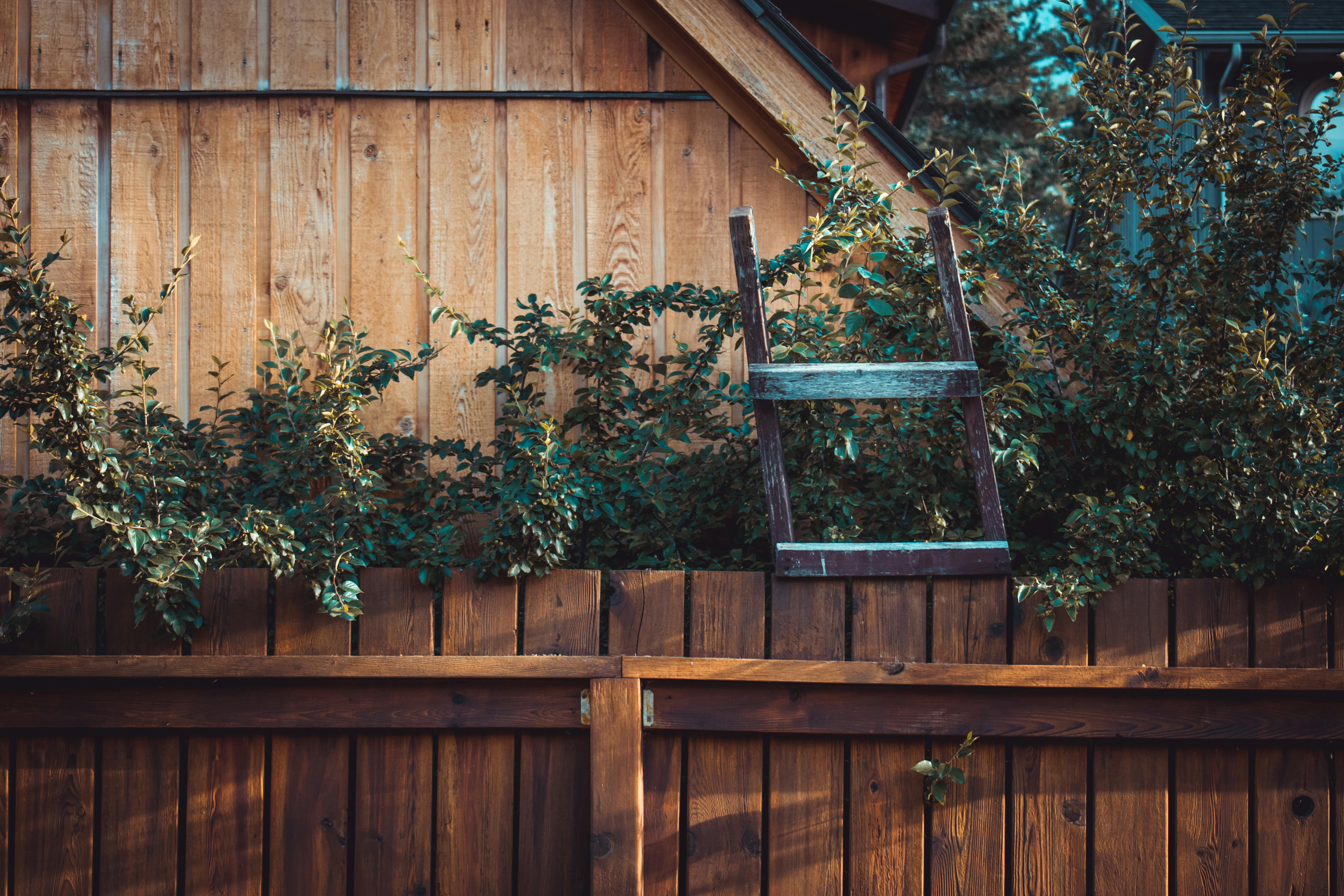 Fencing project 3